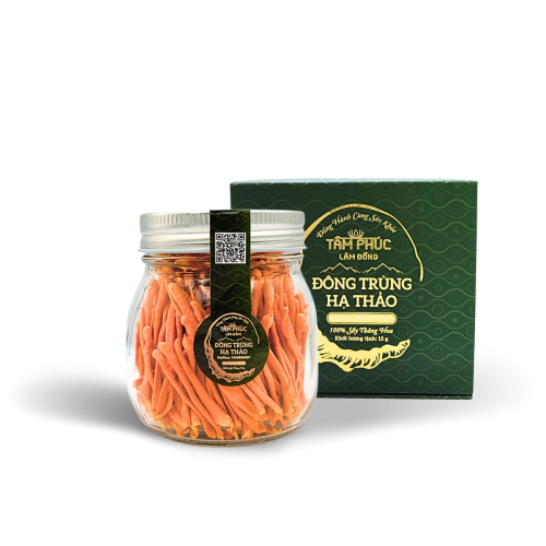 Tâm Phúc Lâm Đồng