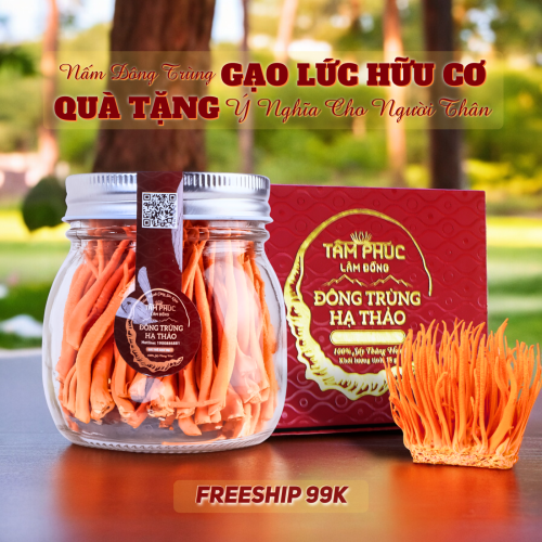 Tâm Phúc Lâm Đồng