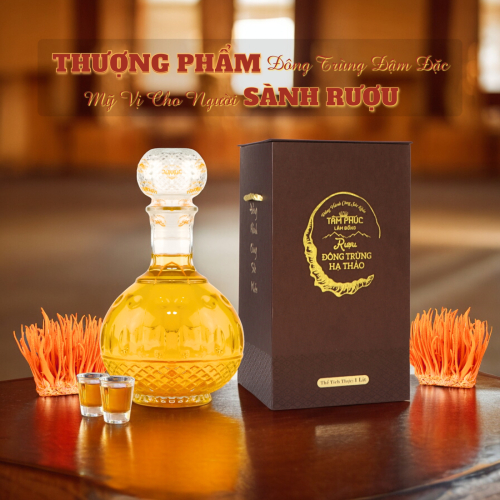 Tâm Phúc Lâm Đồng
