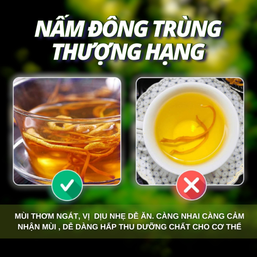 Tâm Phúc Lâm Đồng