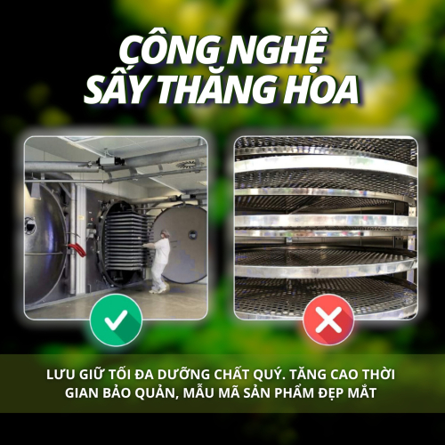 Tâm Phúc Lâm Đồng