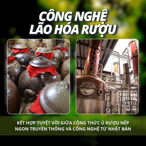 Tâm Phúc Lâm Đồng