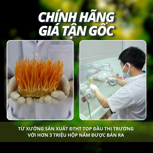 Tâm Phúc Lâm Đồng