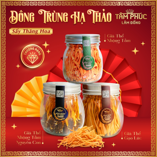 Tâm Phúc Lâm Đồng