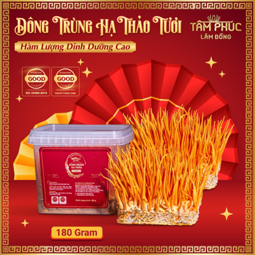 Tâm Phúc Lâm Đồng