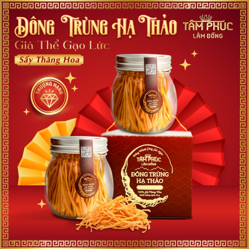 Tâm Phúc Lâm Đồng