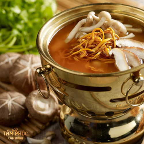 Tâm Phúc Lâm Đồng