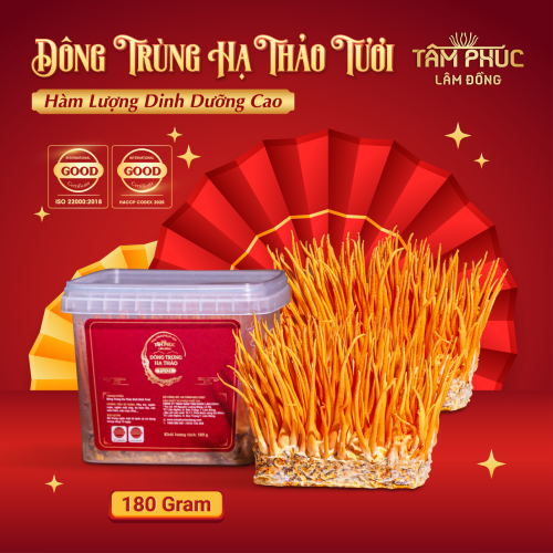 Tâm Phúc Lâm Đồng