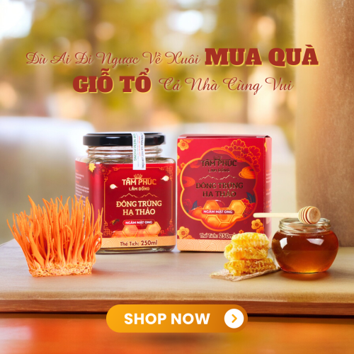 Tâm Phúc Lâm Đồng