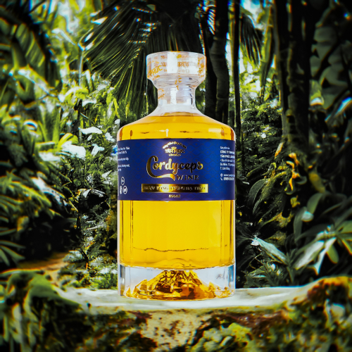 Tâm Phúc Lâm Đồng