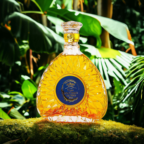 Tâm Phúc Lâm Đồng